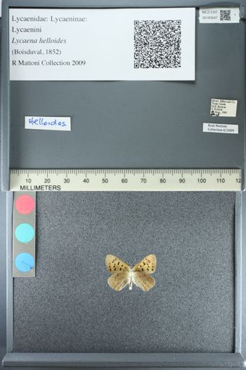 Media type: image;   Entomology 183547